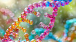 vibrant DNA unwinding, initiator protein unwinds a short stretch of the DNA double helix. protein helicase attaches to and breaks hydrogen bonds between the bases on the DNA strands,