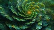 A large plant with an exaggerated phyllotaxis pattern where the leaves seem to be arranged in a perfect spiral almost like a work of art.