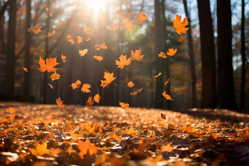 Canvas Print - mapple leaves falling from trees.
