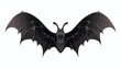 Flat vector icon of black bat wings. Accessory of c