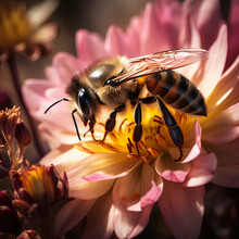 Close-up Of A Bee Pollinating A Flower.