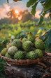A basket filled with green durian fruit is perched on a tree stump under the sky, showcasing natural foods from a terrestrial plant, perfect ingredient for pineapple or Ananas produce
