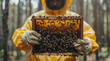 Close up of honey bees on the honeycomb in the beehive. A honey beekeeper in a white protective suit, holding a wooden beehive frame with bees flying around. Closeup of hands and the hive box. 