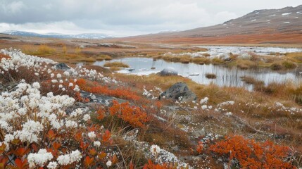 A frozen tundra marked by the impact of a meteorite that brought extreme temperatures and glaciers. The land is barren save for a few brave plants that have adapted to the