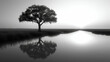 Tree in a marsh - black and white - dramatic and stylish composition - beach - coast - ocean - vacation - holiday - getaway - escape 
