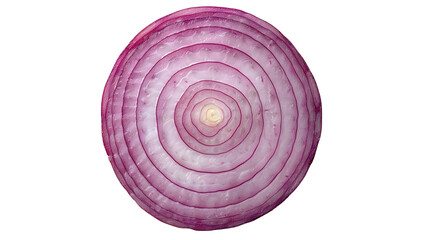 Red onion slices isolated on white and transparent background. Top view. Flat lay. Red onion slice in air, without shadow.