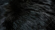 The Glossy Ebony Depths Of A Panther's Fur, Each Strand Shimmering With A Mysterious Allure.