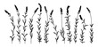 Lavender flower medicine plant silhouette stencil templates