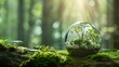 Glass orb terrariums, miniature Earth ecosystems, soft backlight, magical setting, close view