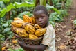 MANKRANSO GHANA  JUNE 14  2018  A little boy carrying a basket of harvested cocoa pods.