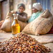Heap of Moroccan Argan nut seeds for oil extract manufacturing in Morocco, used for cosmetic skin hair care and healthy culinary purpose. Generative AI