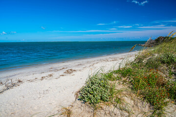 Wall Mural - An overlooking view in North Carolina, Outer Banks