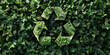 Recycling and ecology symbol made from spring flowers on green studio background. Ecology ecological problems issues save the earth solutions renewable energy concept
