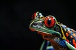 Portrait von einem bunten tropischen Frosch mit roten Augen, schwarzer Hintergrund 
