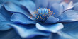 A blue flower standing side by side against a dark blue background.
