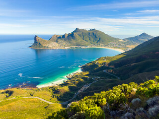 Wall Mural - Hout Bay Coastal mountain landscape with fynbos flora in Cape Town.