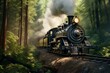 Steam locomotive in forest