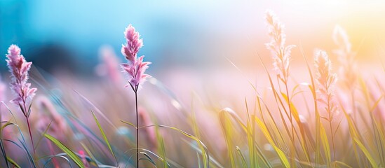 Canvas Print - Pink flowers are blooming among lush tropical grass in a vibrant spring setting, creating a picturesque natural background