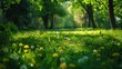 Landscape of young lush green grass with blooming dandelions Beautiful spring natural background.
