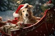A Christmas dog wearing a bow tie sitting in a beautifully decorated sleigh filled with presents.