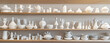 white porcelain utensils on shelves in the style of pat dd59453e-9c4d-4cbb-8351-e7c1499ec024