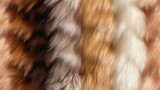 Fototapeta Do akwarium - Tilable Fur Texture