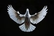 Front view of a white dove with open wings symbol of the Holy Spirit on black background, Generative AI