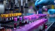 © Old Man Stocker - Laboratory Technician Sorting Blood Sample Tubes. Lab technician organizes blood samples in test tubes for analysis in a modern medical laboratory environment.