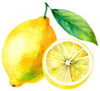 Generative illustration, watercolor drawing of lemon isolated on transparent background