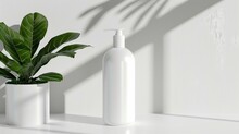 Blank Package For Shampoo On A White Background And Plant