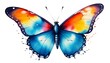 A colorful butterfly 2 (42)