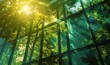 The windows of a building allow the sun to shine through them, featuring green and emerald hues, ethereal trees, contemporary glass, and angled compositions.