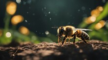 Generative AI. Close Up Shot Of Honey Bee On The Flower In A Serene Environment Sucking Nector.