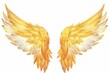 Winged Serenity Elegant Pair of Golden Wings and Feathers Illustration Isolated on White Background