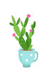Potted plant vector illustration. Succulent in flower pot. Houseplant. Indoor interior house and office flowerpot. Green flower for home decoration. Landscaping