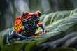a vibrant tropical frog perched on a leaf