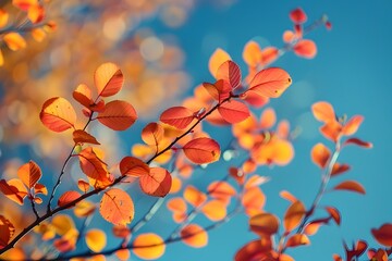 Sticker - Vibrant Autumnal Foliage with Dappled Sunlight on a Crisp Blue Sky Background