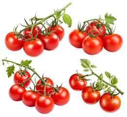 Wall Mural - Set of fresh delicious tomatoes with leaves, cut out