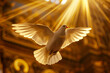 White dove representing the holy spirit.