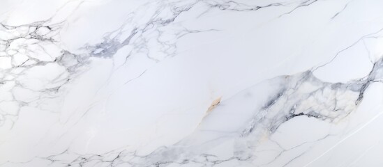 Wall Mural - A close up of a white marble texture resembling a snowcovered slope, freezing twigs, and an ice cap. It evokes a winter event with frost, cumulus clouds, and a glacial landform
