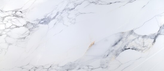 Poster - A close up of a white marble texture resembling a snowcovered slope, freezing twigs, and an ice cap. It evokes a winter event with frost, cumulus clouds, and a glacial landform