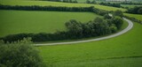 Fototapeta Mapy - Lush Green Countryside with Winding Country Roads