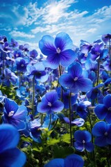 Poster - Blue flowers on blue sky background.