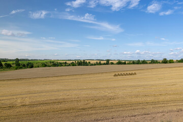 Wall Mural - straw stacks in the field after the grain harvest