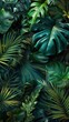 © Nisit - Tropical foliage in a rectangle frame