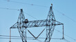 white storks nesting on electricity pylon