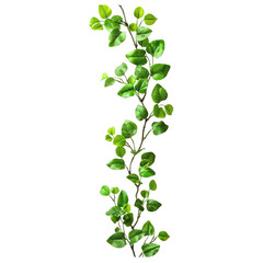 Wall Mural - stem brench with small leaves twisting around in a straight line