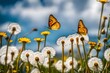 Lovely natural scene of a field of dandelions in bloom and a butterfly on a beautiful, sunny day set against a cloudy blue sky in the springtime