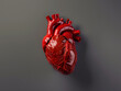 An anatomically correct model of a human heart showcasing the details of its structure in a moody and dark setting