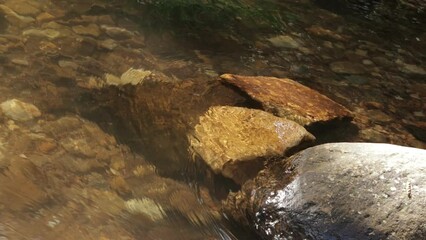 Wall Mural - Running Water In The River